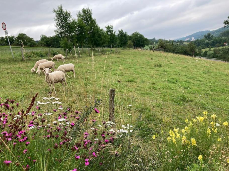 Ferienwohnung Niederstetten Εξωτερικό φωτογραφία