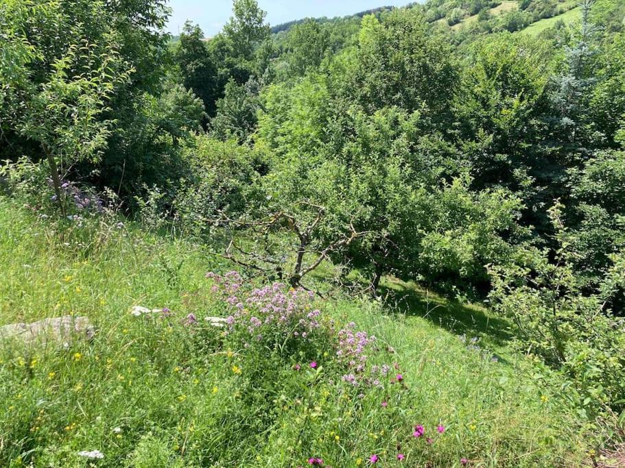 Ferienwohnung Niederstetten Εξωτερικό φωτογραφία